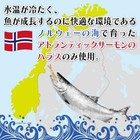 Takagi Shoten Seared Salmon Belly 100g X 24 Cans