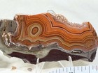 A  Montana Dryhead Agate Slab Set  Lot 575
