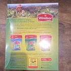 Windsor Mate De Coca Tea   Infusion Bagged Tea Bags Coca Flavor 100 Count 90g