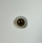Antique German Hand-blown Human Prosthetic Glass Eye   Bloodshot Eye  Brown 