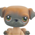 Lps  1221 Pug Dog Littlest Pet Shop 2007 Tan Brown Grey Gen 3 Green Eye Blue Mag