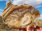 Lysite Wy  Jasper Lapidary Slab Agate Patterns Quartz Druzy Rough Mineral Lys2