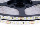 33ft Super Bright Double Density Flexible Led Strip Light 24v 10 Meters