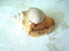 Vintage Souvenir Seashell Paperweight Rochester Indiana Kj