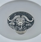Big 5 Water Buffalo 2020 Ivory Coast 5 Oz Silver Ngc Ms 70 Antiqued Mauquoy Fr