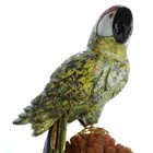 Handmade Macaw Parrot Bird Carving Sculpture Figurine - Stone Rock Gemstone