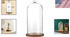 Versatile Glass Cloche With Wooden Base - Perfect For Plants   Collectibles