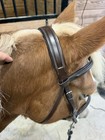 Euc Cob Monocrown Brown English Leather Bridle