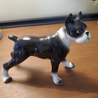 Vintage Boston Terrier boxer  Porcelain Japan Figurine