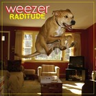 Weezer Raditude Banner 2x2 Ft Fabric Poster Tapestry Flag Album Cover Art