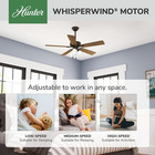 Hunter Swanson  Indoor  Ceiling Fan  With Led Lights  52 Inch  New Bronze