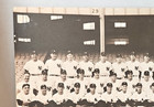 Vintage 1951 World Champion New York Yankees 11  X 14  Team Photo Mantle Rookie