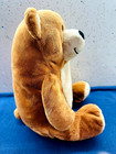 Vtg Teddy Bear Plush Toy Stuffed Kohl s Cares  the World Of Salina Yoon  Book