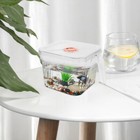  Clear Plastic Fish Tank With Secure Lid Shatterproof Lightweight Betta Fish