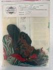 Elsa Williams Needlecraft Creations Handprinted Needlepoint Kit Kpn-589 Holly