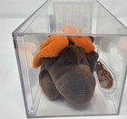 Authenticated Chocolate Moose R Noose Ty Beanie Baby 4th Gen Covered Website Mq