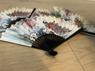Peacock Designed Folding Plastic Hand Fans Set Of Four