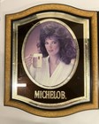 Vintage 1983  1985  Michelob Beer Bar Mirrors  Photo Advertising