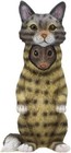 Ebros Dupers Collection Mouse Rat Disguising As A Tabby Cat Statue 5 25  Tall