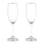Champagne Flutes Set Elegant Toasting Glasses Perfect Weddings Celebrations 2 Pc