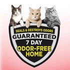 Arm   Hammer Clump   Seal Cat Litter Multi-cat Litter  38 Lb
