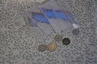  100  2x2 Double Pocket Vinyl Coin Flips Storage   Display -clear Plastic Holder