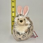 Spunky Hedgehog Easter Bunny Ears Plush Stuffed Animal 5in Douglas Cuddle Toy