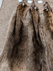 Newly Tanned Wild Large Racoon Pelts country Fur Cabin Craft Fur nice Soft Hide 