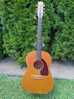 Vintage Original 1968 Kalamazoo Kg - 10 Acoustic Guitar 