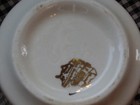 Vintage Nfl Professional Football Hall Of Fame Mug Made In Usa 
