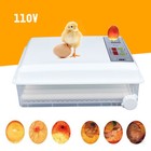 64 Eggs Incubator Digital Automatic Turning Hatcher Chicken Farm Hatching Eggs