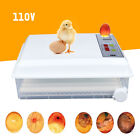 Egg Incubator 64 Eggs Fully Digital Automatic Hatcher Fits Hatching Chicken Farm