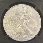 2019-w Burnished Silver Eagle Ngc Ms70 Fdoi Directors Coin Of Excellence 