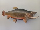Brook Trout Real Skin Taxidermy Mount - 19 5  Long