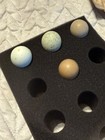 10  Button Quail - Hatching Eggs Chinese Painted Exotic Ultra Rare   Order Now 