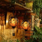 Hummingbird Hot Air Balloon Hanging Solar Lantern Lights  