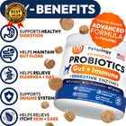 Probiotics For Dogs 170 Dog Probiotics Chews Digestive Enzymes   Prebiotics