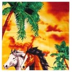Cotton Beach Towel 30x60 Wild Horses Running Beach Palm Trees Sunset Bath New