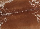 New Cowhide Rugs Area Cow Skin Leather 21 38 Sq feet  57 x54   Cow Hide M1230