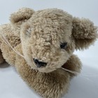 Vintage Dakin Leopard Tiger Lion Cub Plush Stuffed 1977 Korea  Nut Shells 11   