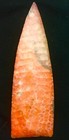 Pasco County Florida Agatized Pre Cambrian Coral Arrowhead Point 4 75 Inches