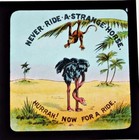 Never Ride A Strange Horse Box Set Of 8 Antique Magic Lantern Slides Primus 1900