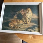 Pair Of Vintage Framed Prints By William Huggins   Pair Of Leopards   Lion In A