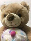 Birthday Teddy Bear Soft Plush Cream Tan Fur Cupcake Stuffed Animal 10  Kellytoy