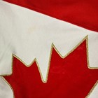 Nike Team Canada Hockey Jersey Mens M Red 2014 Sochi Olympics 599912-657