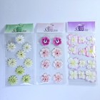 Prima Flowers Floral Paper Fabric Embellishments Lot Of 14