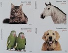 20 Forever First Class Letter Stamps Pets Stamps Mnh 2016 Book