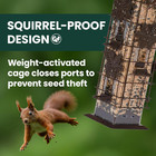 336-1sr Squirrel-be-gone Squirrel Proof Bird Feeder  2lb  Outdoor Wild Bird Feed