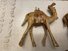 Carved Olive Wood Camels Figurine Crafted In Bethlehem Christian Holy Land