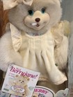 Fisher Price Briarberry Collection Berryjane Plush Bear 90 s Toy Vtg Damaged Box